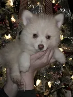 processed/689fa8cd-cd97-4fcb-ac33-c18d8c76c3a7/listing/49754a08-5f3c-49b7-b6dd-6c799ecb7f21/e662ef47-3527-42b2-ac01-357504c6d927