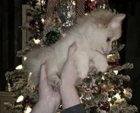 processed/689fa8cd-cd97-4fcb-ac33-c18d8c76c3a7/listing/49754a08-5f3c-49b7-b6dd-6c799ecb7f21/fd972e7e-95b1-4519-8f95-e85cba8dd391