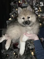 processed/689fa8cd-cd97-4fcb-ac33-c18d8c76c3a7/listing/b980cad7-72e7-494c-8645-6253bf74255a/42af7b32-dabb-4803-a5fc-495be637ad48