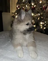 processed/689fa8cd-cd97-4fcb-ac33-c18d8c76c3a7/listing/b980cad7-72e7-494c-8645-6253bf74255a/5f74c966-5073-4f6a-9bd8-1c2b90de6fd0