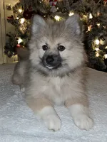 processed/689fa8cd-cd97-4fcb-ac33-c18d8c76c3a7/listing/b980cad7-72e7-494c-8645-6253bf74255a/7dbdf5c9-952c-4f4c-99bd-79fd1d8f2af7