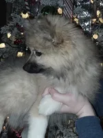 processed/689fa8cd-cd97-4fcb-ac33-c18d8c76c3a7/listing/b980cad7-72e7-494c-8645-6253bf74255a/aff6336d-904d-4f11-8a95-0fb1eaf91292