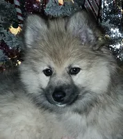 processed/689fa8cd-cd97-4fcb-ac33-c18d8c76c3a7/listing/b980cad7-72e7-494c-8645-6253bf74255a/c03d8228-1a31-49fb-bdef-66de833ed8a0