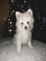 processed/689fa8cd-cd97-4fcb-ac33-c18d8c76c3a7/listing/c46c100f-3085-4005-bc59-310b0d45f5d4/320a0e44-e5e5-4e66-9b71-85c0c45abebf