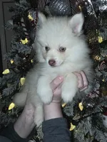 processed/689fa8cd-cd97-4fcb-ac33-c18d8c76c3a7/listing/c46c100f-3085-4005-bc59-310b0d45f5d4/3ac5140f-334b-4cef-9f1e-0ce780cd17db