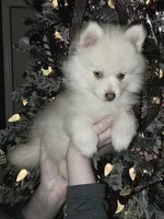 processed/689fa8cd-cd97-4fcb-ac33-c18d8c76c3a7/listing/c46c100f-3085-4005-bc59-310b0d45f5d4/3baef499-b90a-4e4e-b427-1cf8efd62a8d