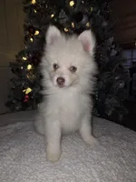 processed/689fa8cd-cd97-4fcb-ac33-c18d8c76c3a7/listing/c46c100f-3085-4005-bc59-310b0d45f5d4/9ac1d8fa-53ef-4797-8637-706f4c7060c1