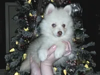 processed/689fa8cd-cd97-4fcb-ac33-c18d8c76c3a7/listing/c46c100f-3085-4005-bc59-310b0d45f5d4/b0940834-0fdc-4724-a936-4e41710cdc19