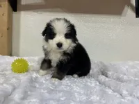 processed/68a5c425-1b82-4d37-8fd7-5d4036177083/listing/376d6a87-417a-4bca-94d0-ad29cf1b1635/2783af0d-f0f1-46eb-9d21-20384ca50254