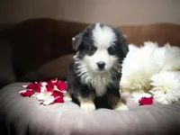 processed/68a5c425-1b82-4d37-8fd7-5d4036177083/listing/376d6a87-417a-4bca-94d0-ad29cf1b1635/2e112421-4c6d-4c8c-a3c5-82966385aac9