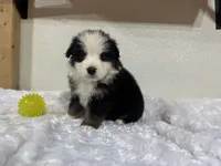 processed/68a5c425-1b82-4d37-8fd7-5d4036177083/listing/376d6a87-417a-4bca-94d0-ad29cf1b1635/3c9cb2c8-d374-4a43-834f-144bffa38d4a