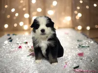 processed/68a5c425-1b82-4d37-8fd7-5d4036177083/listing/376d6a87-417a-4bca-94d0-ad29cf1b1635/6cde4a62-3022-4478-ac1a-8cf2ea520f63