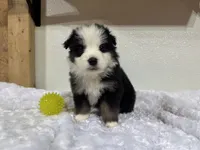 processed/68a5c425-1b82-4d37-8fd7-5d4036177083/listing/376d6a87-417a-4bca-94d0-ad29cf1b1635/9452e75e-6164-4132-81fd-d1fcf208d2ef