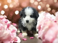 processed/68a5c425-1b82-4d37-8fd7-5d4036177083/listing/376d6a87-417a-4bca-94d0-ad29cf1b1635/c66ba0e4-5158-4d5b-b0aa-076785df3d36