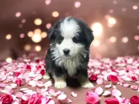 processed/68a5c425-1b82-4d37-8fd7-5d4036177083/listing/376d6a87-417a-4bca-94d0-ad29cf1b1635/eeba4a83-b918-4b13-8a8d-b9120556f07c