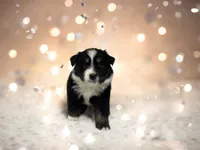 processed/68a5c425-1b82-4d37-8fd7-5d4036177083/listing/746fe6aa-0143-463d-8e27-e6089a90aff2/1a6eab97-9dba-4084-a62d-23304ab29656