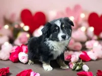 processed/68a5c425-1b82-4d37-8fd7-5d4036177083/listing/746fe6aa-0143-463d-8e27-e6089a90aff2/6241f811-235c-4c58-aa76-d52b6eba319f