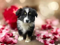 processed/68a5c425-1b82-4d37-8fd7-5d4036177083/listing/746fe6aa-0143-463d-8e27-e6089a90aff2/a5a7be08-aebd-4556-a70b-4f6f46d77530