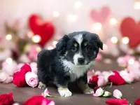 processed/68a5c425-1b82-4d37-8fd7-5d4036177083/listing/746fe6aa-0143-463d-8e27-e6089a90aff2/c82b9e86-3791-441c-8e48-4fe9fe7546a0