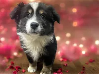 processed/68a5c425-1b82-4d37-8fd7-5d4036177083/listing/746fe6aa-0143-463d-8e27-e6089a90aff2/e5ed413e-01b5-4615-acae-5a32eb588e12