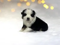 processed/68a5c425-1b82-4d37-8fd7-5d4036177083/listing/e6928e1b-f247-4622-bddc-54432bac3339/145202de-eedb-43aa-91d1-844d0dedbe02