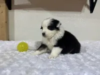 processed/68a5c425-1b82-4d37-8fd7-5d4036177083/listing/e6928e1b-f247-4622-bddc-54432bac3339/19a4ecec-2125-4d4a-88f6-b0cb9622b83a