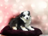 processed/68a5c425-1b82-4d37-8fd7-5d4036177083/listing/e6928e1b-f247-4622-bddc-54432bac3339/4bfb2397-9cbd-44ea-8fc9-20becfdbb5ff