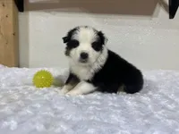 processed/68a5c425-1b82-4d37-8fd7-5d4036177083/listing/e6928e1b-f247-4622-bddc-54432bac3339/55b02749-0f78-432c-bdb5-18140697ef09