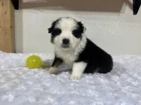 processed/68a5c425-1b82-4d37-8fd7-5d4036177083/listing/e6928e1b-f247-4622-bddc-54432bac3339/6988a9be-0657-4f79-a422-d6f670db67de