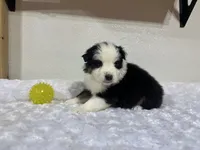 processed/68a5c425-1b82-4d37-8fd7-5d4036177083/listing/e6928e1b-f247-4622-bddc-54432bac3339/75a2c4d8-6989-4d95-a5e1-5023595a082f