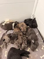 processed/68a80dac-d206-43bd-abc3-ed80592e6412/facility/0e116034-6e97-44c3-ad14-cbacd11c461a