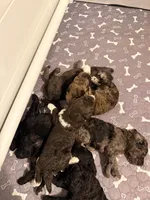 processed/68a80dac-d206-43bd-abc3-ed80592e6412/facility/4317433e-fd79-413b-9cd3-c05734916dba