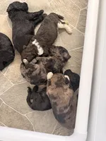 processed/68a80dac-d206-43bd-abc3-ed80592e6412/facility/4b133f8c-d722-4c6f-ba88-dfa74b1835b4