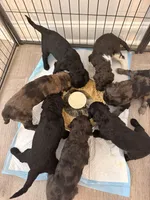 processed/68a80dac-d206-43bd-abc3-ed80592e6412/facility/5d81a9f0-811e-4e85-9587-fb857b81ed39