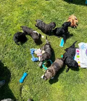 processed/68a80dac-d206-43bd-abc3-ed80592e6412/facility/8ec78411-bfd4-4f22-83f2-029b3c26f71e