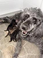 processed/68a80dac-d206-43bd-abc3-ed80592e6412/facility/d1f74734-a032-434f-9aac-9847d7d5a511