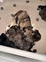 processed/68a80dac-d206-43bd-abc3-ed80592e6412/facility/d6543c3a-8ba3-428f-8599-0e553514fa08