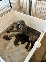 processed/68a80dac-d206-43bd-abc3-ed80592e6412/facility/f3b032af-fbd4-4e06-8ac5-f239c90d9f13