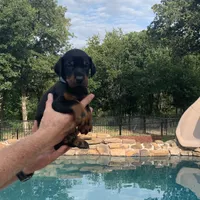 processed/68b40663-2cdd-4b0d-ba4a-8812a199c016/facility/6314aab2-03ca-48e9-92ca-325ff9087a69