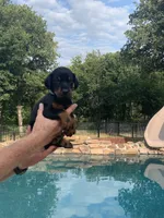 processed/68b40663-2cdd-4b0d-ba4a-8812a199c016/facility/6314aab2-03ca-48e9-92ca-325ff9087a69