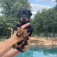 processed/68b40663-2cdd-4b0d-ba4a-8812a199c016/facility/6ab70af1-3a44-4f89-89d2-a307f33576cf