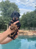 processed/68b40663-2cdd-4b0d-ba4a-8812a199c016/facility/6ab70af1-3a44-4f89-89d2-a307f33576cf