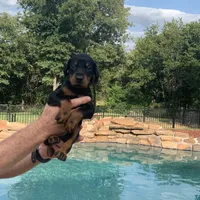 processed/68b40663-2cdd-4b0d-ba4a-8812a199c016/facility/88b80413-69ae-4e99-9366-ca0dfcd5cf64