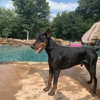 processed/68b40663-2cdd-4b0d-ba4a-8812a199c016/facility/b340f9a2-820f-43f1-98fc-6b30d519c8f9