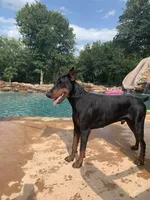 processed/68b40663-2cdd-4b0d-ba4a-8812a199c016/facility/b340f9a2-820f-43f1-98fc-6b30d519c8f9