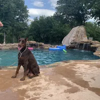 processed/68b40663-2cdd-4b0d-ba4a-8812a199c016/facility/cfee18a3-c53d-4ec9-afee-cdae12508c6d