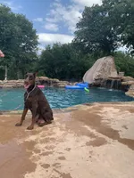 processed/68b40663-2cdd-4b0d-ba4a-8812a199c016/facility/cfee18a3-c53d-4ec9-afee-cdae12508c6d