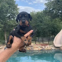 processed/68b40663-2cdd-4b0d-ba4a-8812a199c016/facility/dcc0fcc1-d1cb-4a9c-baf6-0f6cd001ddcf