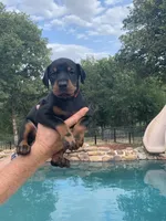 processed/68b40663-2cdd-4b0d-ba4a-8812a199c016/facility/dcc0fcc1-d1cb-4a9c-baf6-0f6cd001ddcf