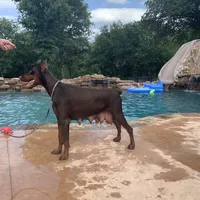 processed/68b40663-2cdd-4b0d-ba4a-8812a199c016/facility/e2c55be4-3602-4e0d-aff5-9b2f4683a37f